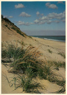 GCAPE COD NATIONAL SEASHORE    (scan Recto-verso) KEVREN00309 - Cape Cod