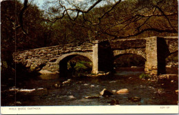 10-4-2024 (1 Z 31) UK - Dartmoor Fingle Bridge - Ponti