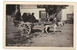 Egypt - A Native Carriage, Donkey And Cart - Autres & Non Classés