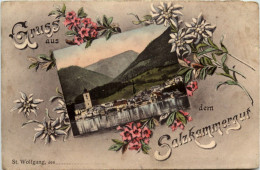 St. Wolfgang - Gruss Aus Dem Salzkammergut - Gmunden