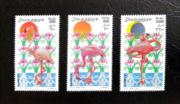 Somalia - Flamingos 1998 (MNH) - Somalia (1960-...)