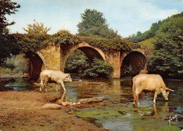 ASCAIN  Le Pays Basque Un Pont Romain 27 (scan Recto Verso)KEVREN0676 - Ascain