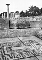 13 SAINT REMY DE PROVENCE  Les Antiques GLANUM Mosaique De La Maison Dite D' ATYS  7 (scan Recto Verso)KEVREN0690 - Saint-Remy-de-Provence