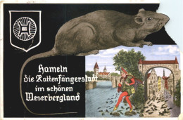 Hameln - Rattenfängerstadt - Hameln (Pyrmont)