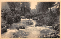 Belgique MODAVE ROISEUX CASCADE DU HOYOUX - Modave