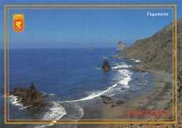 ESPAGNE ISLAS CANARIAS TAGANANA TENERIFE PLAYA DE BENIJO - Otros & Sin Clasificación