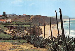 Espagne CADIZ CONIL FUENTE DEL GALLO - Cádiz