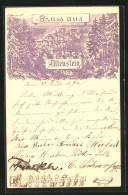 Lithographie Altensteig, Panoramablick Auf Die Ortschaft  - Altensteig