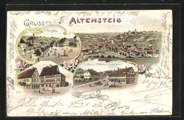 Lithographie Altensteig, Gasthof Zur Traube, G. Werners Stiftung Zum Bruderhaus  - Altensteig