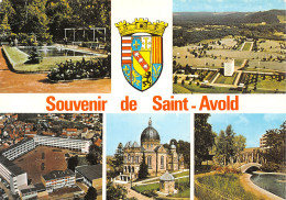 57-SAINT AVOLD-N°3748-C/0071 - Saint-Avold