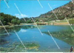 Bl463 Cartolina Lago Sirino Nemoli Provincia Di Potenza - Potenza