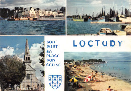 29-LOCTUDY-N°3753-B/0345 - Loctudy