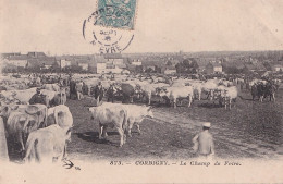 F23-58) CORBIGNY - LE CHAMP DE FOIRE - ( ANIMEE - BESTIAUX ) - Corbigny