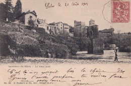 B4- 64) SAUVETERRE DE BEARN - LE VIEUX PONT - ( ANIMEE - EDIT.  G. PONDARRE ET FILS , ORTHEZ - 1903 ) - Sauveterre De Bearn