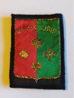 INSIGNE TISSU 14 EME DIVISION D'INFANTERIE, 14 EME DI (3) - Patches