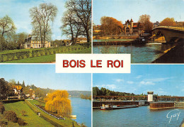 77-BOIS LE ROI-N°3762-B/0091 - Bois Le Roi