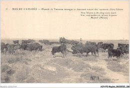 AJHP11-REGION-0996 - MAS DE L'AMAREE - Manade De Taureaux Sauvages Se Lamentant Autour Des Ossements - Provence-Alpes-Côte D'Azur