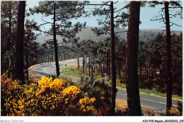 AJHP10-REGION-0859 - La Forêt Des Pins Dans Les Dunes - Genêts En Fleurs - Aquitaine