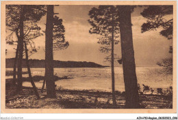 AJHP10-REGION-0850 - PAYSAGES LANDAIS - Coin D'un Lac De La Côte D'argent - Aquitaine