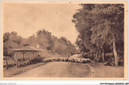 AJHP10-REGION-0844 - LES LANDES DE LA GASCOGNE - Troupeau De Mouton En Route Vers La Forêt - Aquitaine