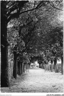 AJHP9-75-0750 - Hôpital Et Asile De Notre-dame-de-bon-secours - L'allée Des Marronniers - Salud, Hospitales