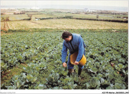 AJJP5-0426 - METIER - M LEMAROIS FILS MET DE L'ENGRAIS SUR SES CHOUX  - Bauern