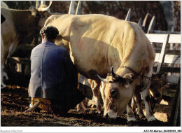 AJJP2-0199 - METIER - LA TRAITE DES VACHES  - Paysans