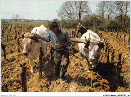 AJJP2-0183 - METIER - LE LABOUR DANS LES VIGNES  - Paysans