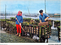 AJJP2-0134 - METIER - BASSIN D'ARCACHON - TRAVAUX OSTRÏCOLES - LA RECOLTES DES ALEVINS SUR LES TUILES  - Pêche