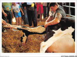 AJJP7-0681 - METIER - NAISSANCE D'UN VEAU LORS DU COMICE AGRICOLE DE BROU  - Paesani