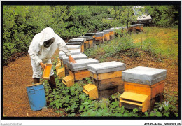 AJJP7-0616 - METIER - RECOLTE DU POLLEN - LES TRAPPES A POLLEN SE TROUVENT SOUS LA RUCHE OU DEVANT LA RUCHE  - Bauern