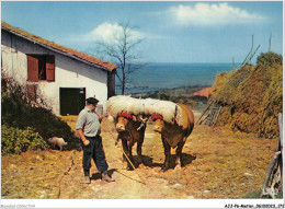 AJJP6-0593 - METIER - PAYS BASQUE - ATTELAGE - Campesinos