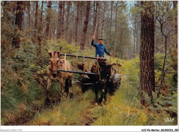 AJJP6-0582 - METIER - DANS LES LANDES - L'ATTELAGE DE MULES  - Paysans