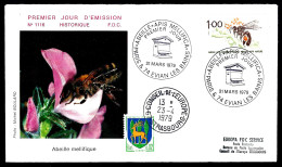 ABEILLE - RUCHE - EVIAN LES BAINS -  - Api