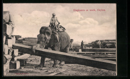 AK Ceylon, Arbeitselefant Beim Holz-Transport  - Elefanti