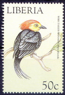 Wire Tailed Manakin, Birds, Liberia 1999 MNH - Passereaux