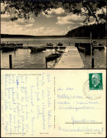 Ansichtskarte Neuglobsow-Stechlin Bootsverleih Am Dagowsee / Stechlinsee 1960 - Neuglobsow