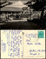 Ansichtskarte Kühlungsborn Kulturpark 1956 - Kühlungsborn
