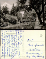 Ansichtskarte Luckau Łuków Stadtteilansicht Südpromenade Zur DDR-Zeit 1961 - Luckau