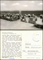 Senftenberg (Niederlausitz) Strand, Strandkörbe Rettungsschwimmer Turm 1974 - Senftenberg