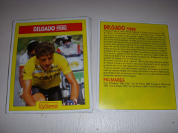 CYCLISME COUPURE 12x10 MIROIR Du CYCLISME Pedro DELGADO PDM MAILLOT JAUNE - Wielrennen