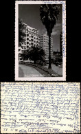 Porto Alegre Praca Otavio Rocha, Häuser-Ansicht, City-View 1952 Privatfoto - Sonstige & Ohne Zuordnung