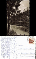 Ansichtskarte  Der Schöne Solling Lakenhausreich 1966/1963 - Unclassified