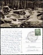 Ansichtskarte Braunlage Bodewasserfälle (River Falls, Waterfall) 1961 - Braunlage