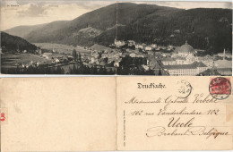 Ansichtskarte St. Blasien Panorama-Ansicht; 2-teilige Klappkarte 1910 - St. Blasien