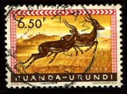 Ruanda-Urundi Gitarama Oblit. Keach 11(A)1 Sur C.O.B. 214 Le 22/10/1959 - Usados