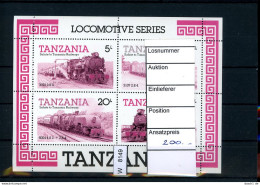 Tansania, Bl 44 Mit Fehlenden Farben Gelb Und Blau, Sehr Seltene Abart - Tanzania (1964-...)