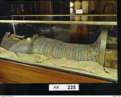AK225, Ägypten, Goldener Sarg Von Echnaton - Archeologia