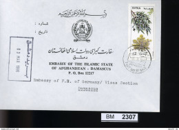 BM2307, Syrien, O, 1961 Als FDC Auf Gelaufenem Brief  - Syria