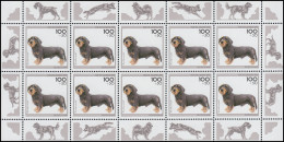 1800 Jugend Hunde: Rauhhaardackel 1995 - Kleinbogen ** - 1991-2000